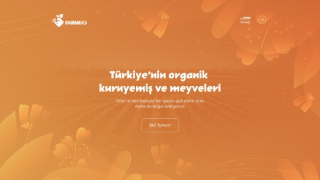 Project 1 bg