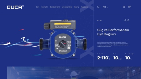 Project 2 bg